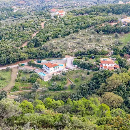 Mitzelos *
